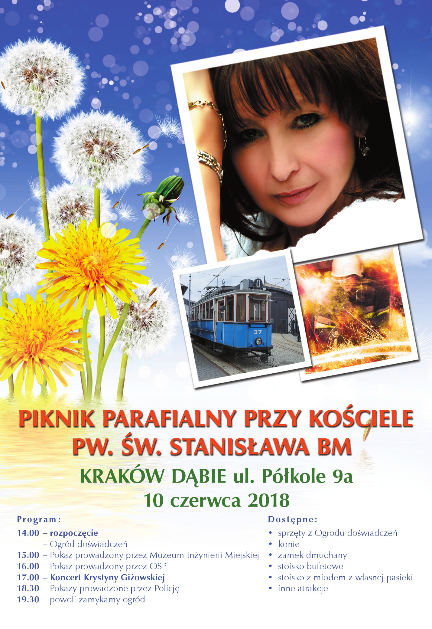 Plakat Piknik 2018